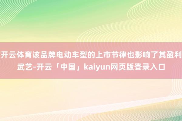 开云体育该品牌电动车型的上市节律也影响了其盈利武艺-开云「中国」kaiyun网页版登录入口