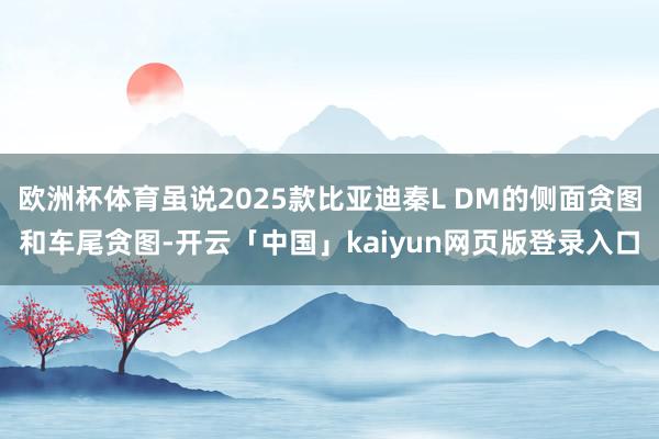 欧洲杯体育虽说2025款比亚迪秦L DM的侧面贪图和车尾贪图-开云「中国」kaiyun网页版登录入口