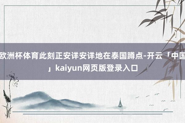 欧洲杯体育此刻正安详安详地在泰国蹲点-开云「中国」kaiyun网页版登录入口