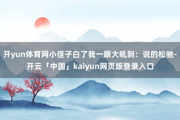 开yun体育网小侄子白了我一眼大吼到：说的松驰-开云「中国」kaiyun网页版登录入口