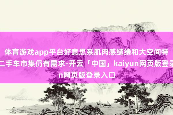 体育游戏app平台好意思系肌肉感缱绻和大空间特点在二手车市集仍有需求-开云「中国」kaiyun网页版登录入口