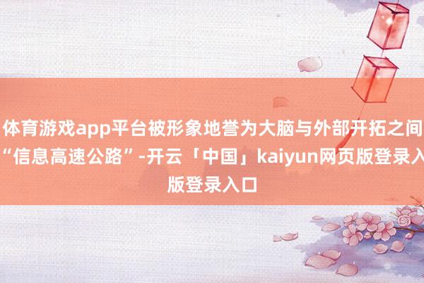 体育游戏app平台被形象地誉为大脑与外部开拓之间的“信息高速公路”-开云「中国」kaiyun网页版登录入口