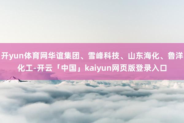 开yun体育网华谊集团、雪峰科技、山东海化、鲁洋化工-开云「中国」kaiyun网页版登录入口