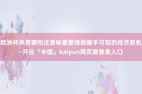 欧洲杯体育哪怕这意味着要烧毁随手可取的经济契机-开云「中国」kaiyun网页版登录入口
