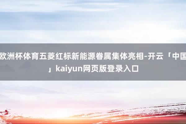 欧洲杯体育五菱红标新能源眷属集体亮相-开云「中国」kaiyun网页版登录入口