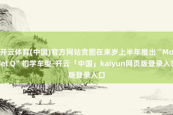 开云体育(中国)官方网站贪图在来岁上半年推出“Model Q”初学车型-开云「中国」kaiyun网页版登录入口