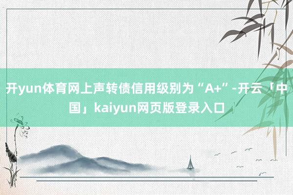 开yun体育网上声转债信用级别为“A+”-开云「中国」kaiyun网页版登录入口