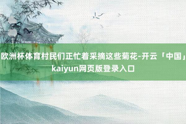 欧洲杯体育村民们正忙着采摘这些菊花-开云「中国」kaiyun网页版登录入口