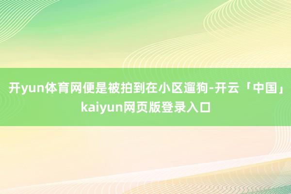 开yun体育网便是被拍到在小区遛狗-开云「中国」kaiyun网页版登录入口