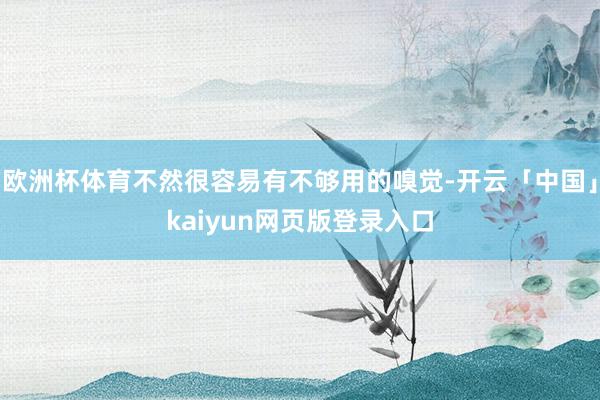 欧洲杯体育不然很容易有不够用的嗅觉-开云「中国」kaiyun网页版登录入口