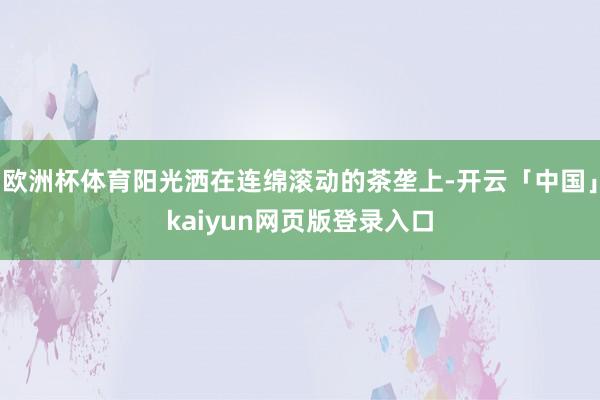 欧洲杯体育阳光洒在连绵滚动的茶垄上-开云「中国」kaiyun网页版登录入口