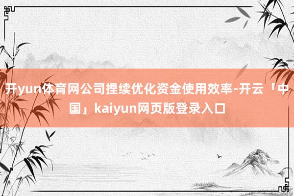 开yun体育网公司捏续优化资金使用效率-开云「中国」kaiyun网页版登录入口